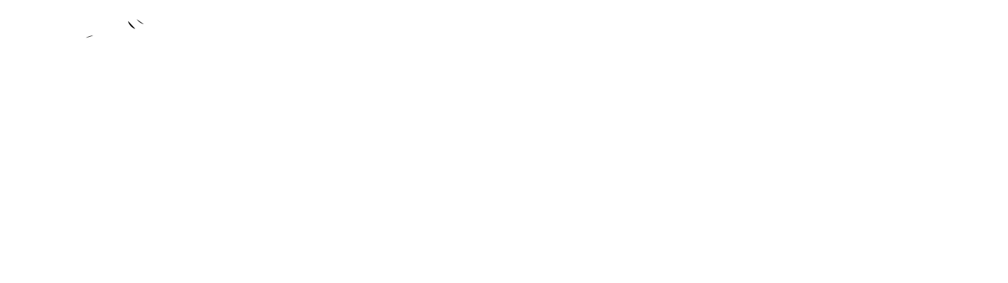 SERVIOM Seguridad Privada